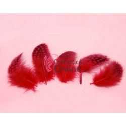 Pene pentru decor unghii Rosii, 5 bucati